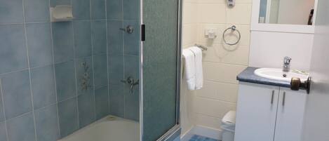 Un bagno con doccia, wc, lavandino e specchio.