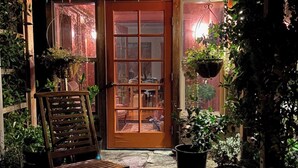 Una puerta de madera con un panel de vidrio, rodeada de plantas en macetas y un banco.