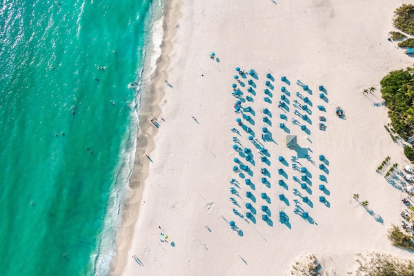 ビーチの近く、サンラウンジャー