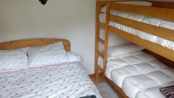 1 chambre, fer et planche Ă  repasser
