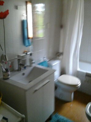 Combined shower/tub, free toiletries, towels, toilet paper - Modest apartment in the Aragonese Pyrenees mountains. Altruistic rent. (Villanúa)