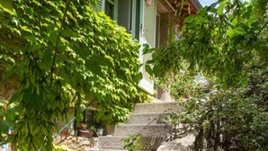 Ein Haus mit einer Treppe, die zu einer Veranda führt, umgeben von üppigem Grün.