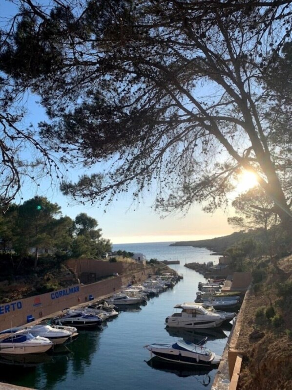Uma marina com barcos atracados ao longo da orla, cercada por árvores e um céu claro.