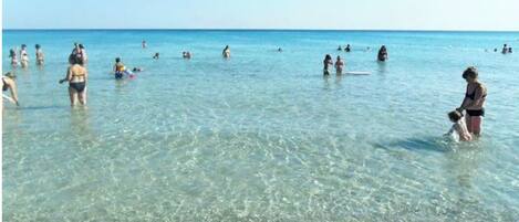 Playa en los alrededores y toallas de playa