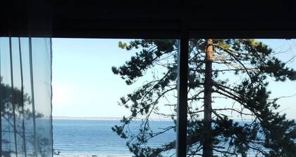 Résidence remarquable face à la merveilleuse Baie de Douarnenez !!