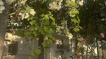 Mặt tiền nơi lưu trú