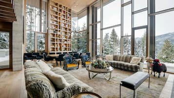 Smart TV, fireplace, books, stereo