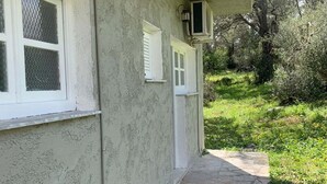 Una casa con un vialetto in pietra che conduce all'ingresso, immersa nel verde.