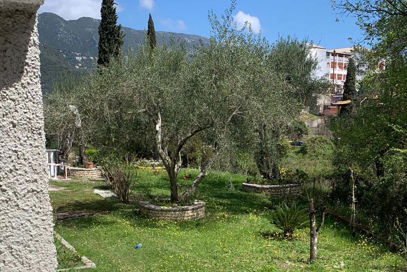 Área da propriedade