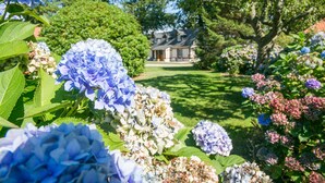 A garden with hydrangeas and a house in the background. - Clos Céleste - Campagne d'Etretat (Ecrainville)