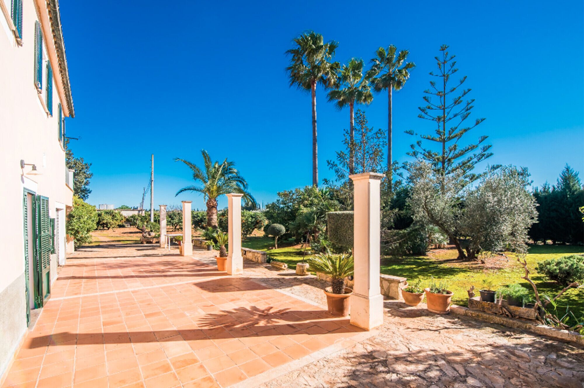 A courtyard with a tiled floor, palm trees, and a building with columns.