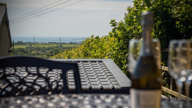 Een tafel met een fles wijn en een glas, tegen een achtergrond van een landelijk landschap met velden en een verre zeespiegel.