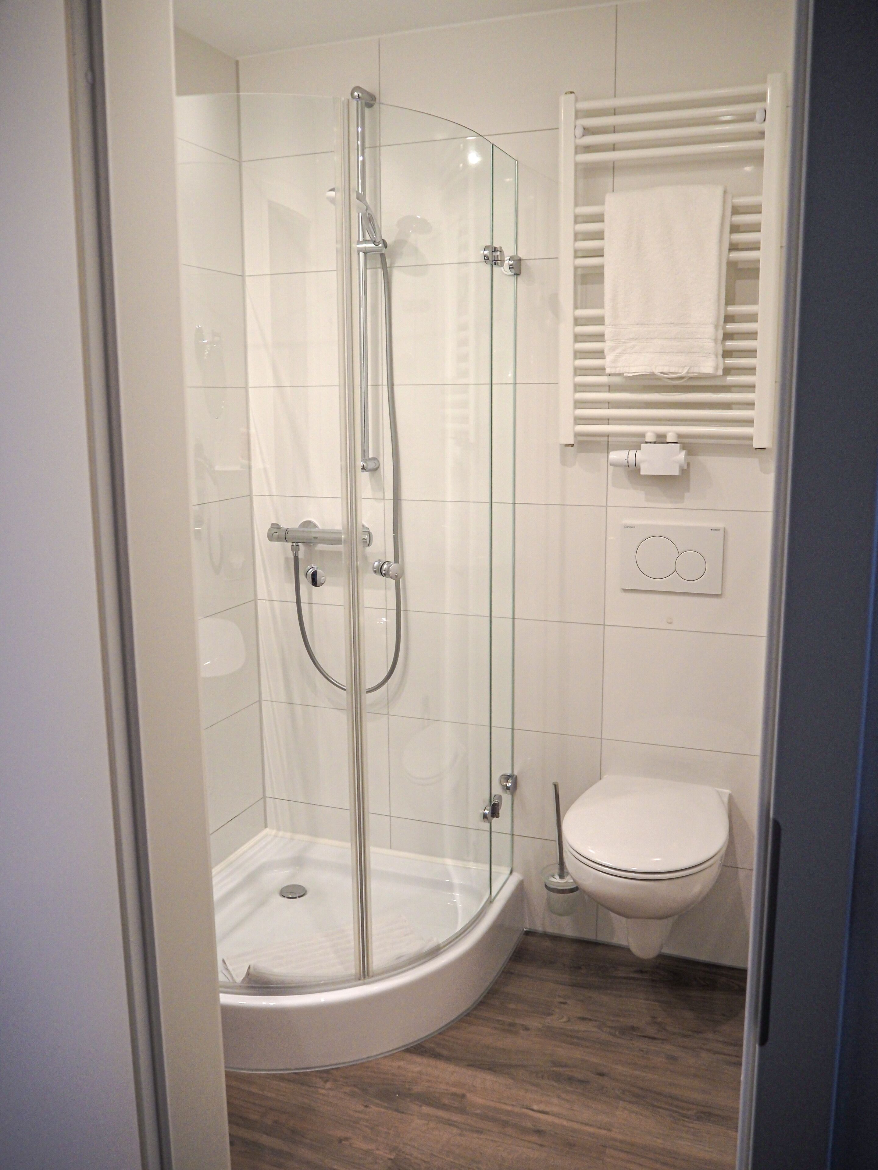A modern bathroom with a glass-enclosed shower, a white toilet, and a towel rack.