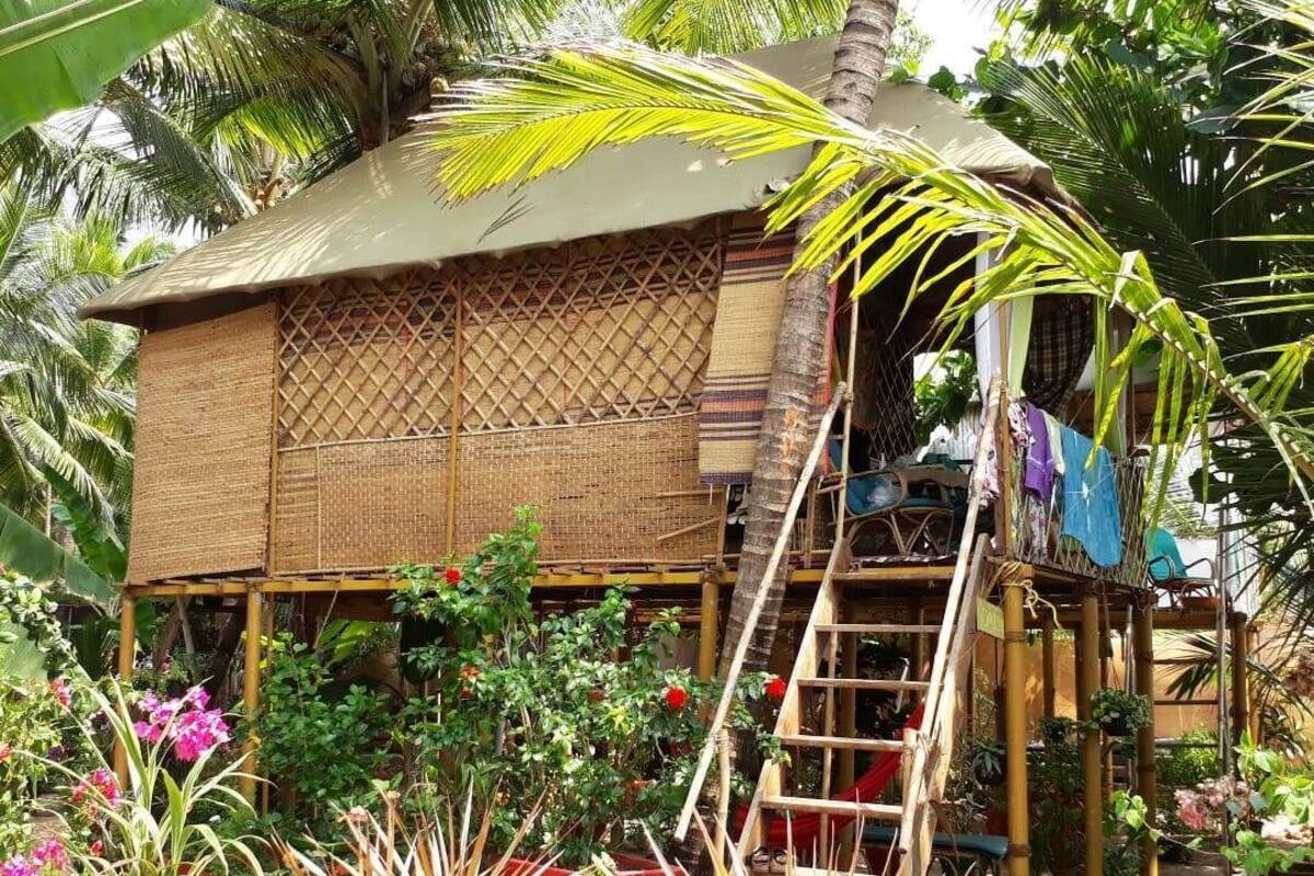 A traditional bamboo house with a thatched roof, surrounded by lush tropical plants and a variety of potted plants.
