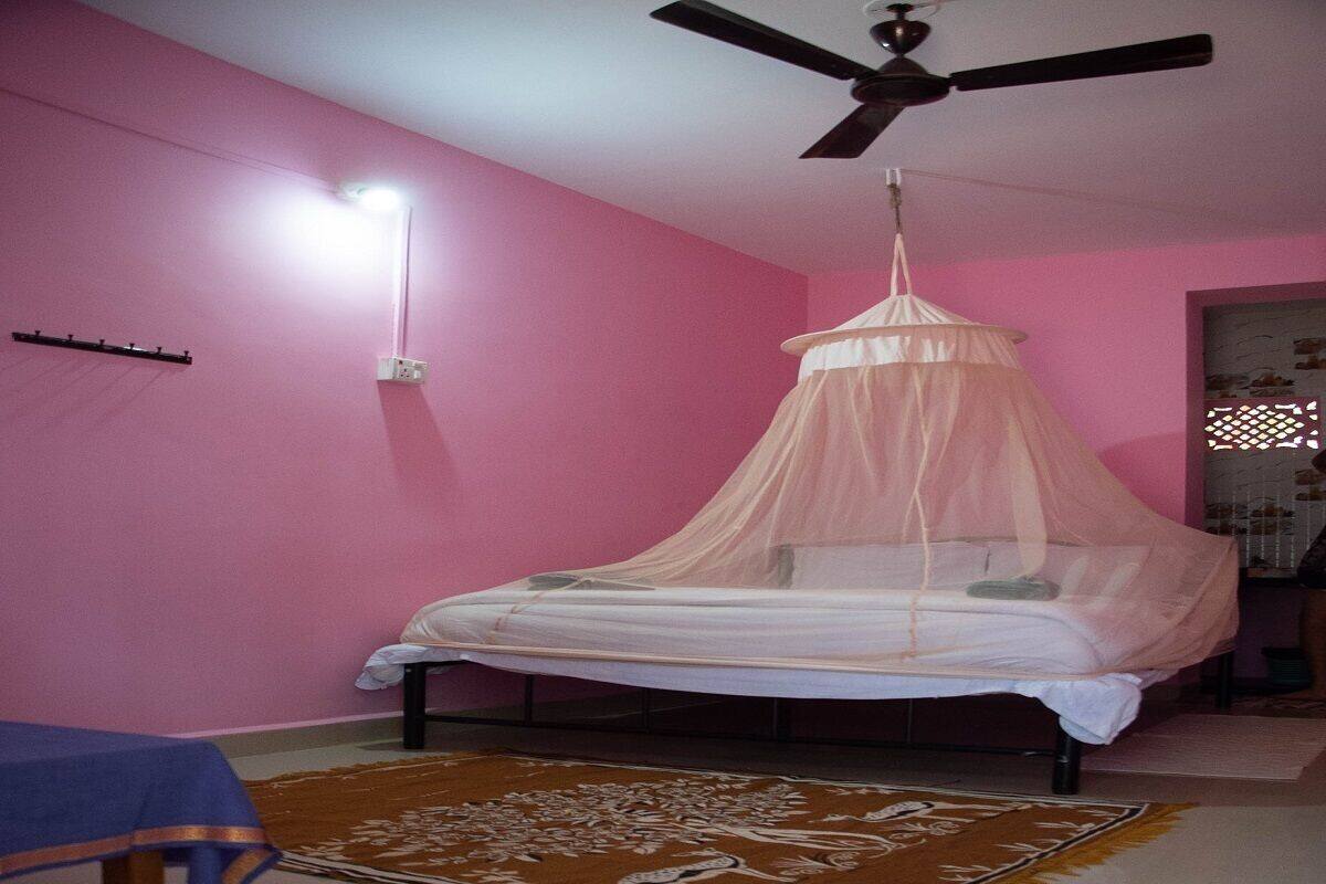 A bedroom with a bed under a mosquito net, a ceiling fan, and a pink wall.