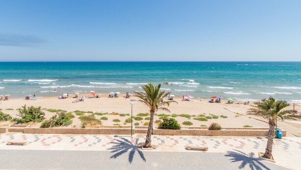 Une plage bordée de palmiers, une promenade dallée et l’océan.