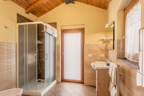Shower, hair dryer, towels