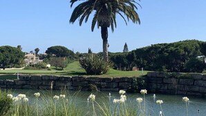 A serene park with a palm tree, a pond with water lilies, and a stone wall. - Holiday Apartment 'Large Apartment in Vale do Lobo' with Private Garden & Wi-Fi (Almancil)