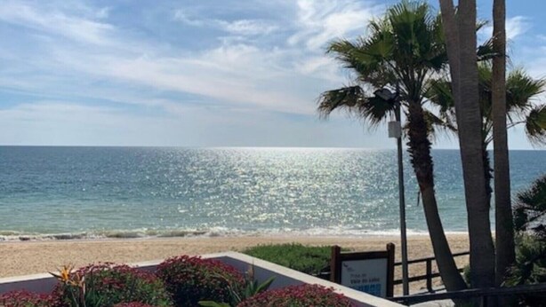 A beach view with palm trees and flowers. - Holiday Apartment 'Large Apartment in Vale do Lobo' with Private Garden & Wi-Fi (Almancil)