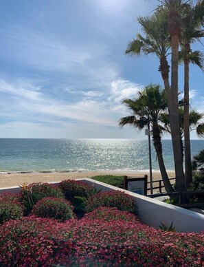 Une vue sur la plage, avec des palmiers et des fleurs.