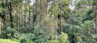 Turmeric Cottage - Palmwoods Eco Escape