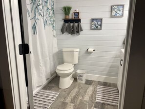 A bathroom with a toilet, a shower curtain, a small shelf with a plant, and a framed picture on the wall. - THIS HOME IS TEMPORARILY UNAVAILABLE FOR RENT (Rapid City)