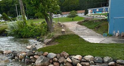 Best View on Torch lake! Private frontage, boat dock and across from the sandbar