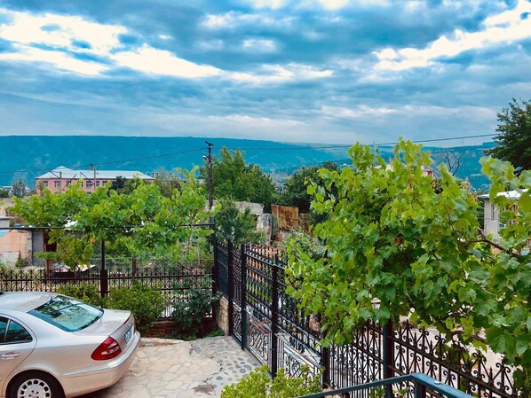 Property grounds - Family House - Apartment with garden and a fireplace (T'bilisi)