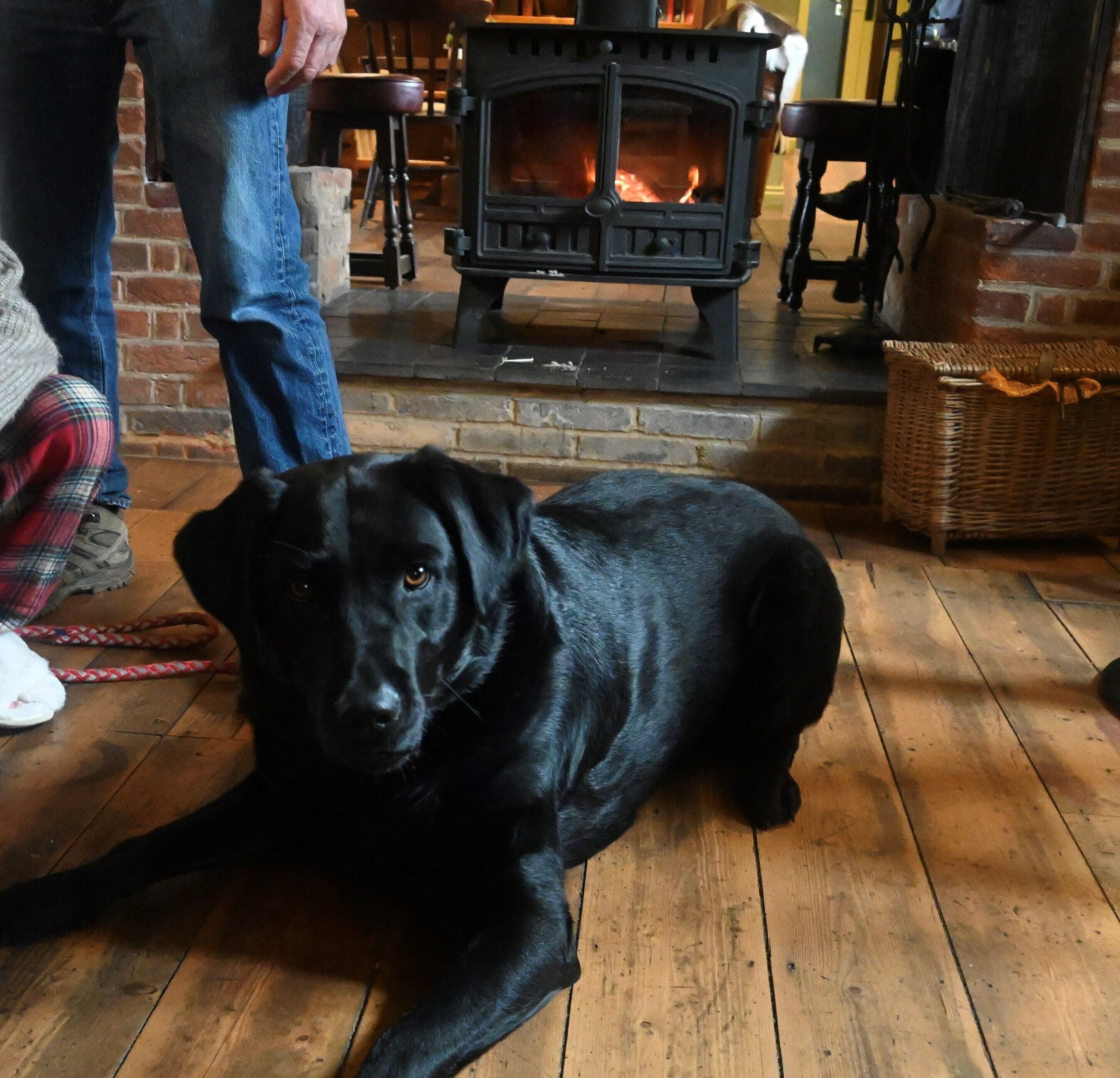 A black dog lying on a wooden floor in a room with a fireplace and a brick wall.