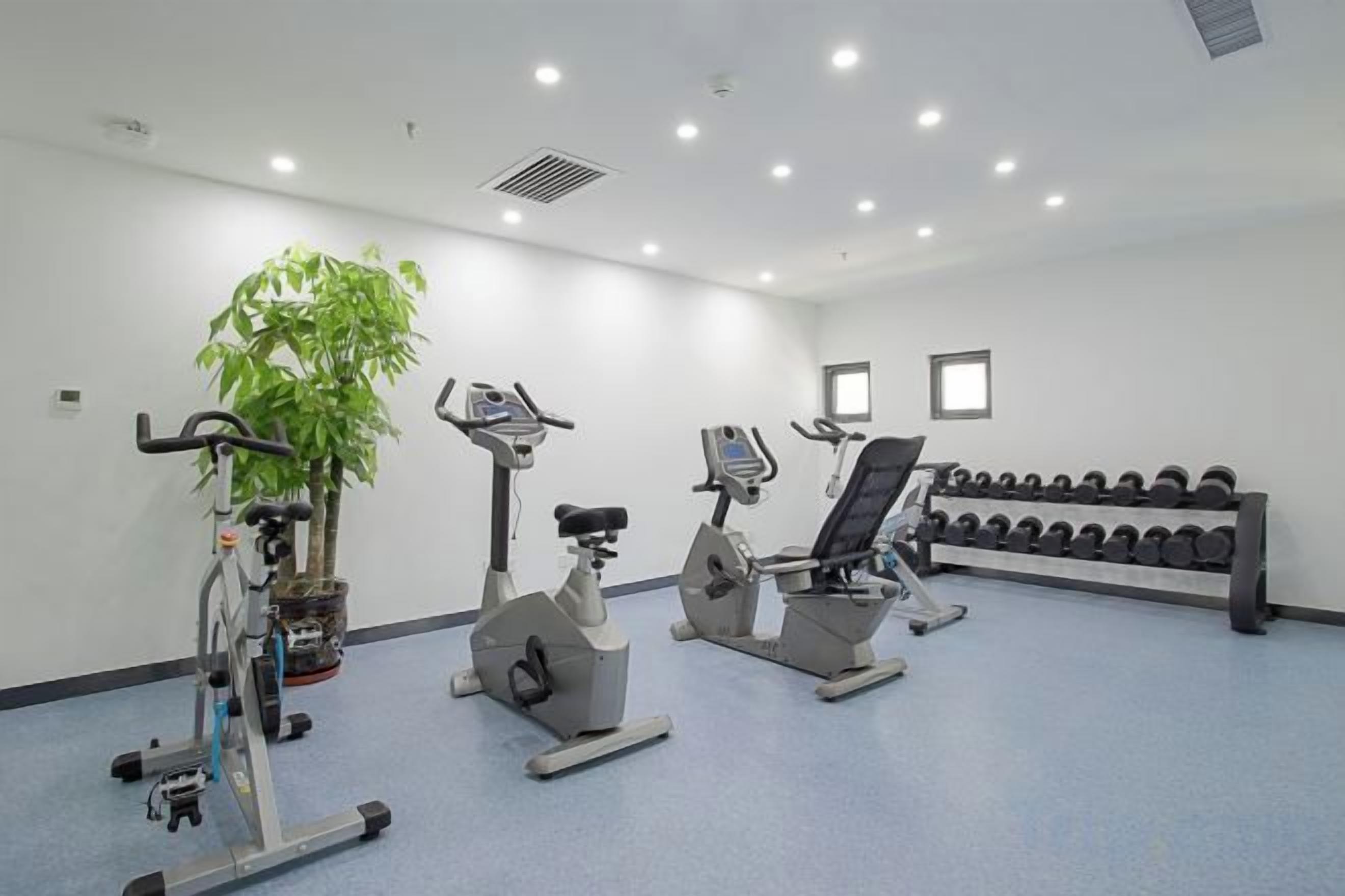 Ett gym med träningsutrustning, en växt och en rad hantlar.