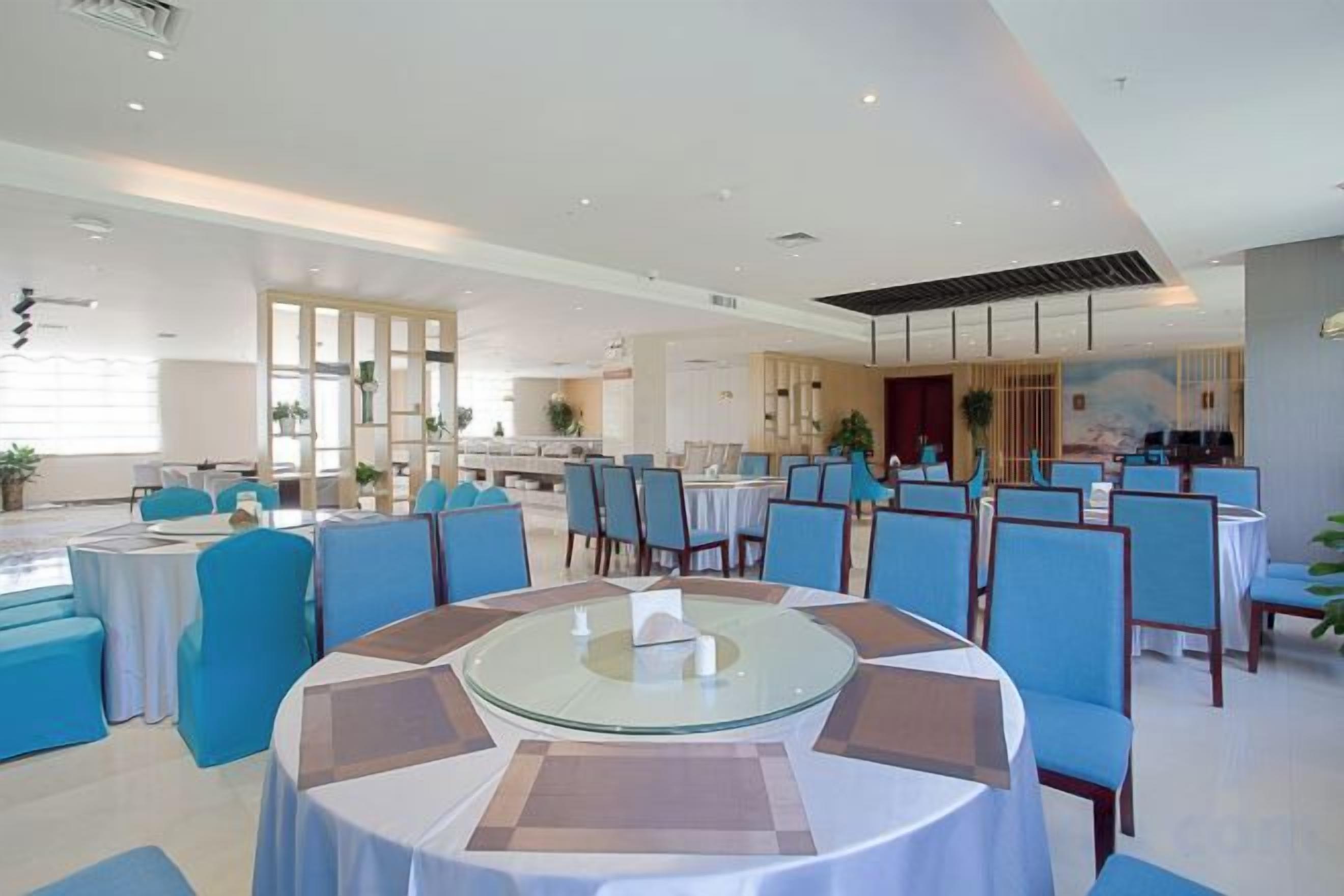 A spacious dining area with round tables and blue chairs, a kitchen in the background, and a large window providing natural light.