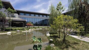 A modern building with a reflective glass facade, a small pond with rocks, and a pathway leading to a covered area.