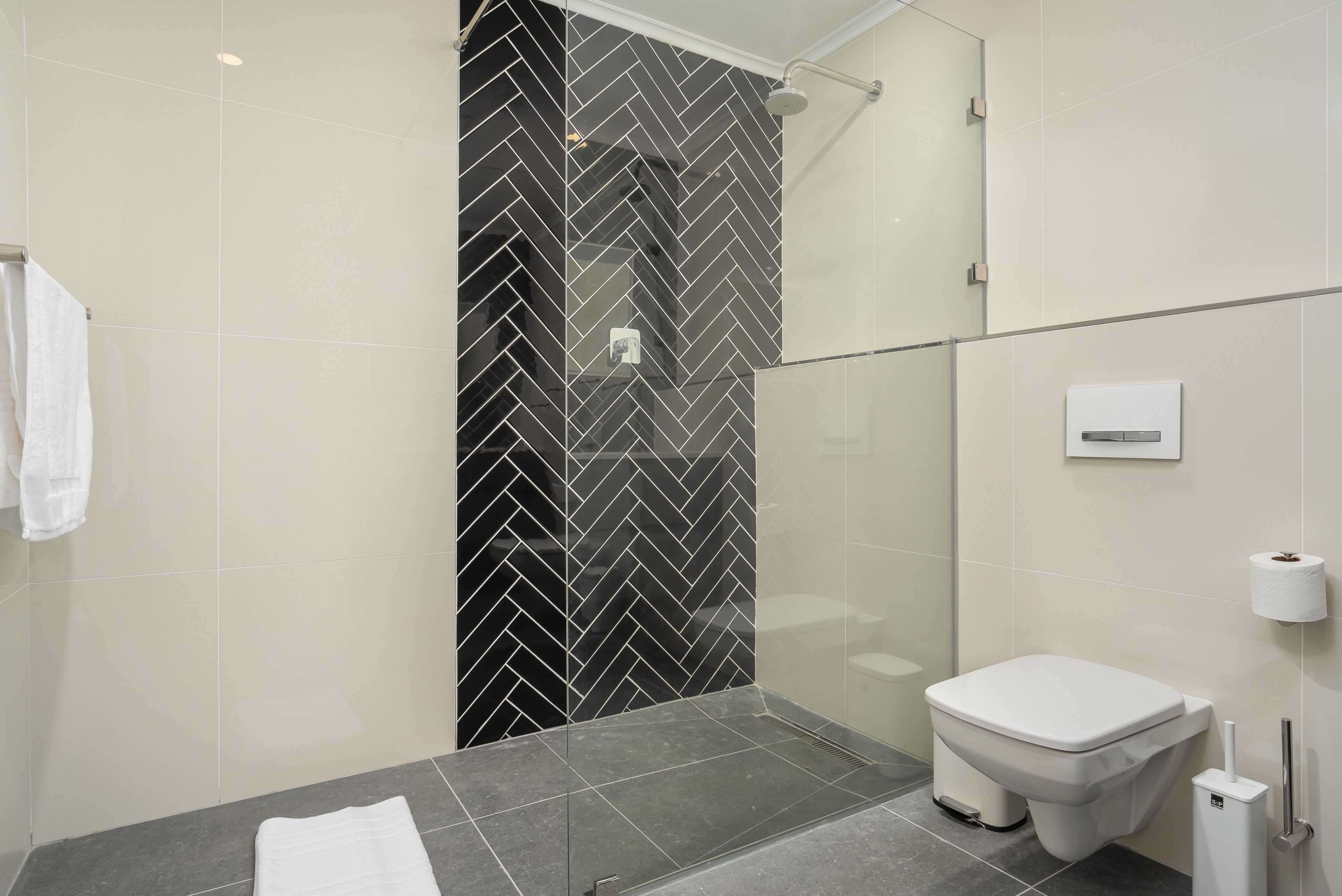 Une salle de bain moderne avec une douche à parois de verre, des toilettes blanches et une zone de douche carrelée de couleur foncée.