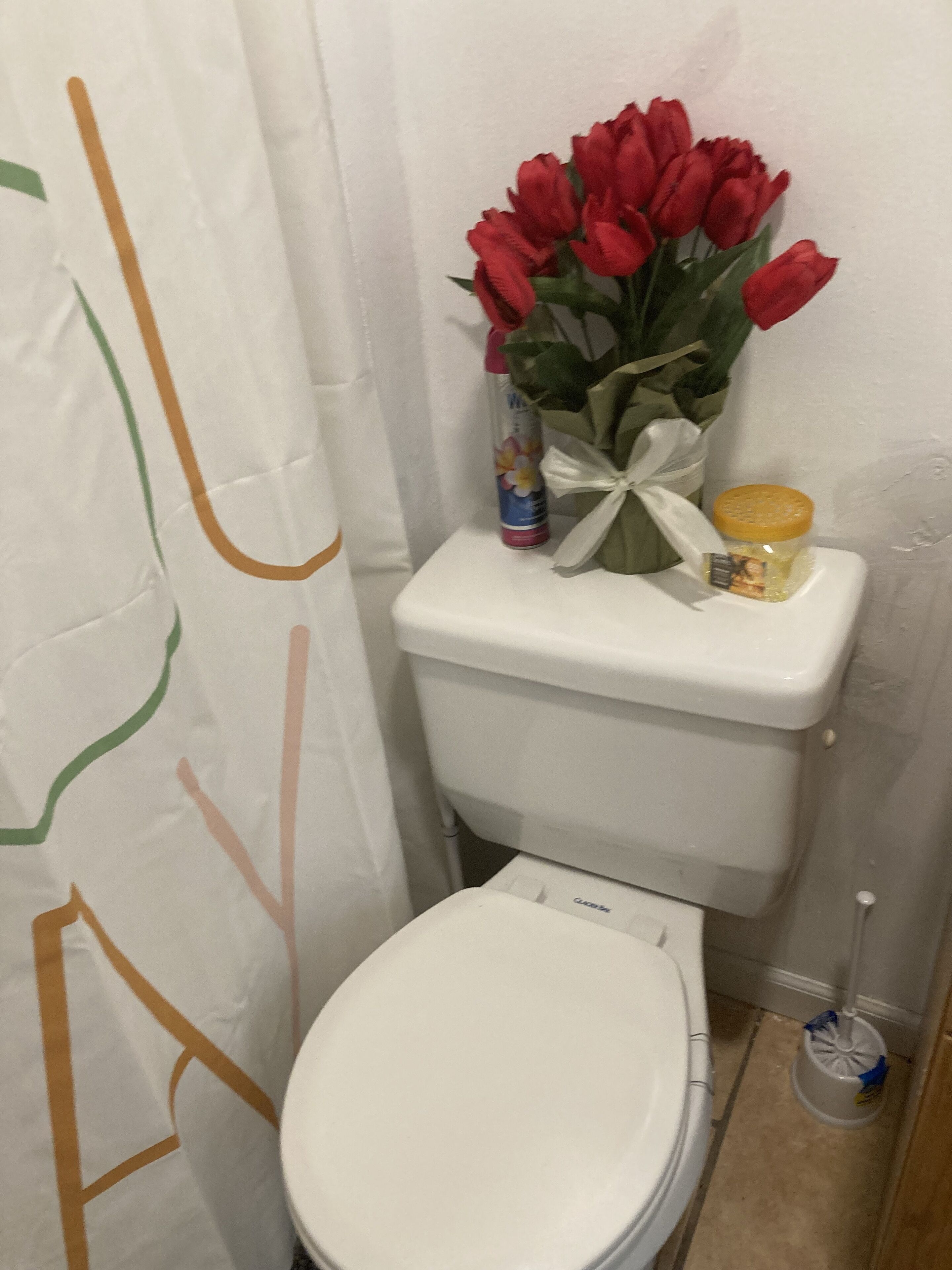 lOVELY 2BD/1BATH WITH INDOOR FIREPLACE NEAR FSU 5 MIN FROM FAMU