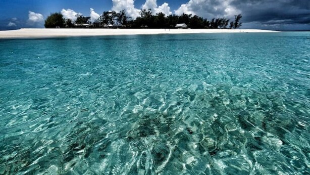 Klares Bild von türkisblauem Wasser, das zu einem Sandstrand führt, mit einer Reihe Bäume und einer kleinen Struktur in der Ferne.