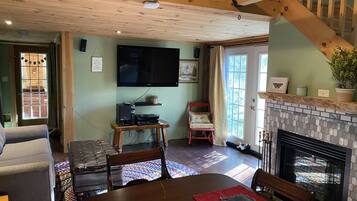 TV, fireplace, books