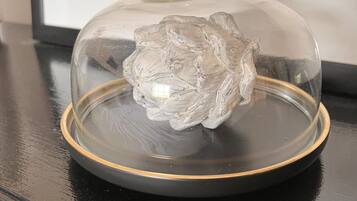 A clear glass dome with a textured base on a black surface.