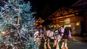 Un sapin de Noël illuminé et un attelage tiré par des chevaux devant un bâtiment sur lequel on peut lire l’inscription « Village Theater ».