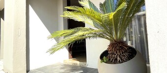 Lion Mansion Villa 5 bedroom 5 bathroom pool bbq garden