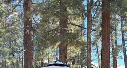 Quaint 2Bd Suite w/ Hot Tub - Bear Manor #15