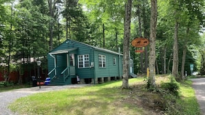 A green cottage with a porch and steps, surrounded by trees. - Eagle Bay Cottage with Lake Rights (Eagle Bay)