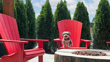 A dog sitting on a red Adirondack chair in a garden with tall trees and a fire pit.