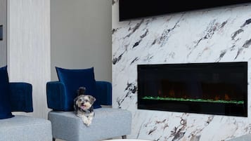 Een moderne woonkamer met een hond op een grijze bank, blauwe fauteuils, een flatscreen-televisie en een haard met een groene glazen deur.