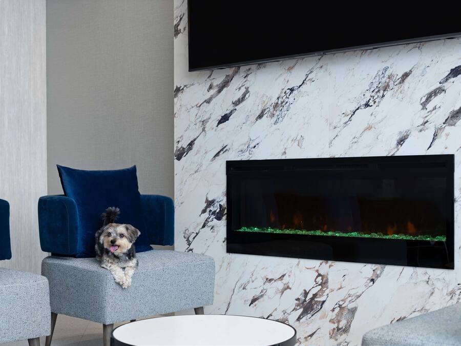 Een moderne woonkamer met een hond op een grijze bank, blauwe fauteuils, een flatscreen-televisie en een haard met een groene glazen deur.
