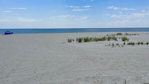 A beach with a tent and sparse vegetation.