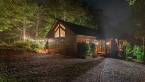Exterior - Nature in Aska! Access to Toccoa River/USFS (Blue Ridge)