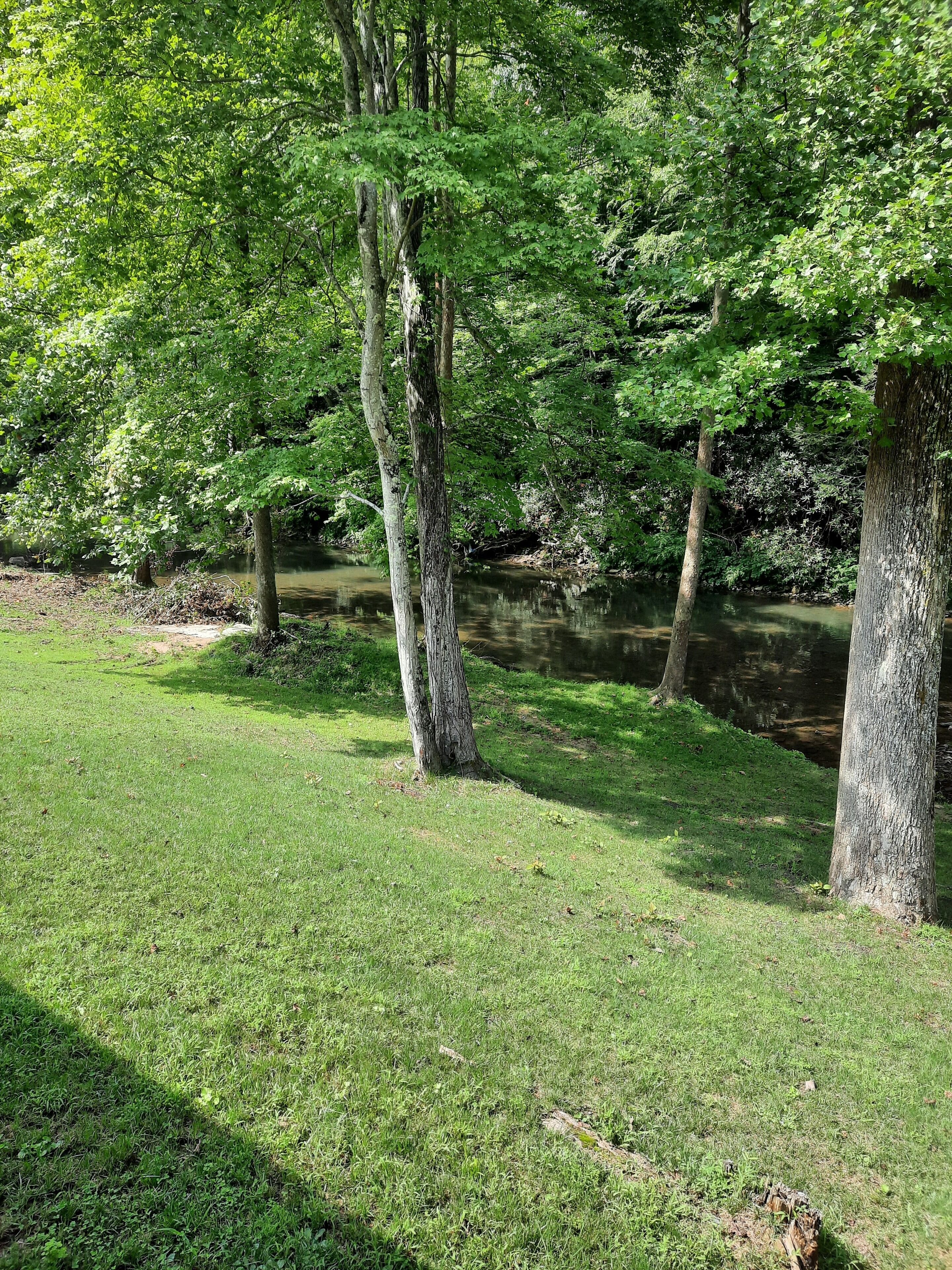 A serene park with a grassy area, trees, and a calm water body.