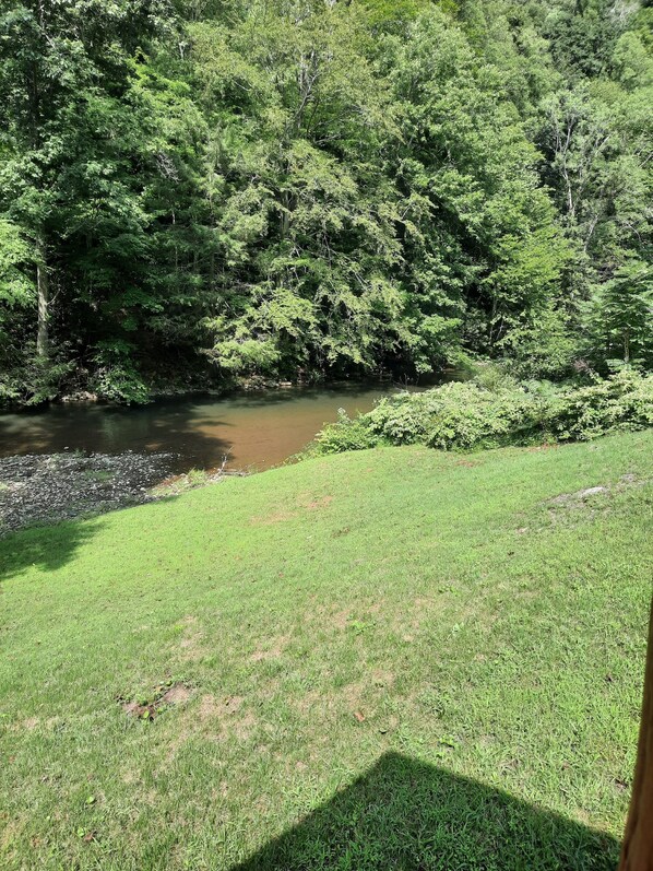 A grassy area with a river and dense trees in the background.