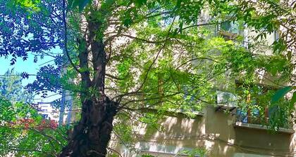 Large, Quiet and Spacious Apartment - 15 min from City Centre!