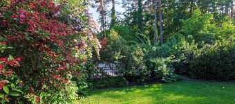 Vacation apartment close to nature ideal for relaxation